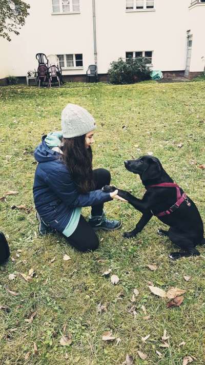 Dogorama Photo Challenge - Be my valentine-Beitrag-Bild