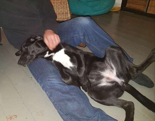 Fotochallenge Nr.65-Beitrag-Bild