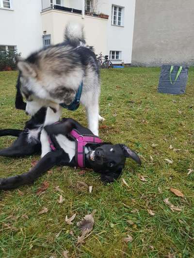 Fotochallenge Nr. 62 Romantische Momente-Beitrag-Bild