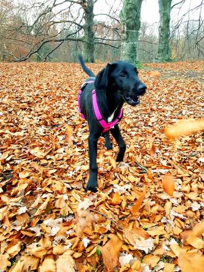 Foto Challenge Nr. 79-Beitrag-Bild