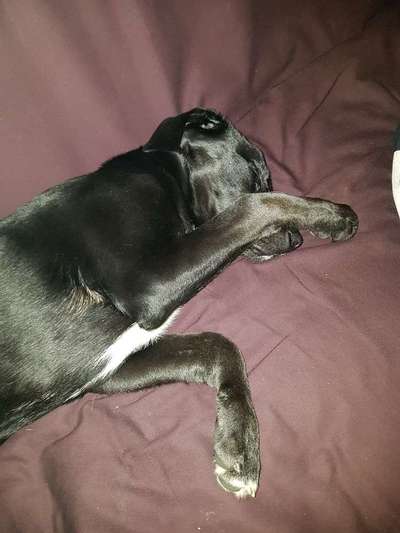 Lieblingsbild-Beitrag-Bild