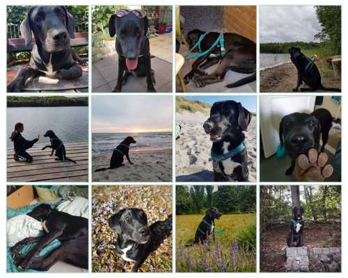 Doppelgänger gesucht !-Beitrag-Bild