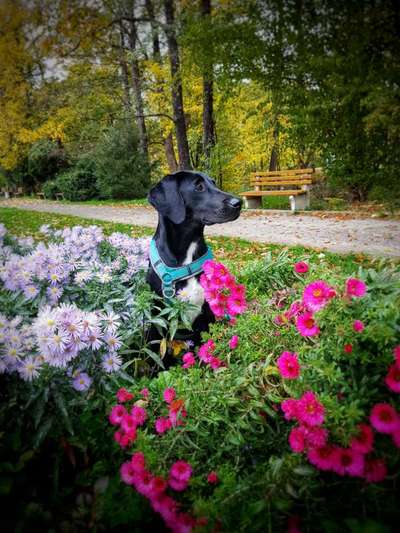 Zeigt eure Portraits-Beitrag-Bild