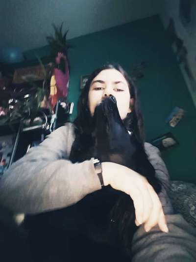 Dogorama Photo Challenge - Selfie Time!-Beitrag-Bild