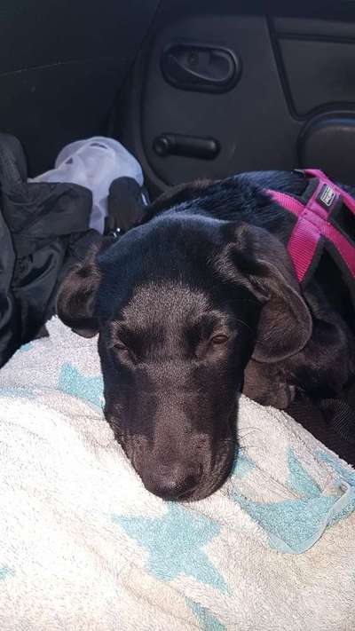 Fotowettbewerb-Beitrag-Bild