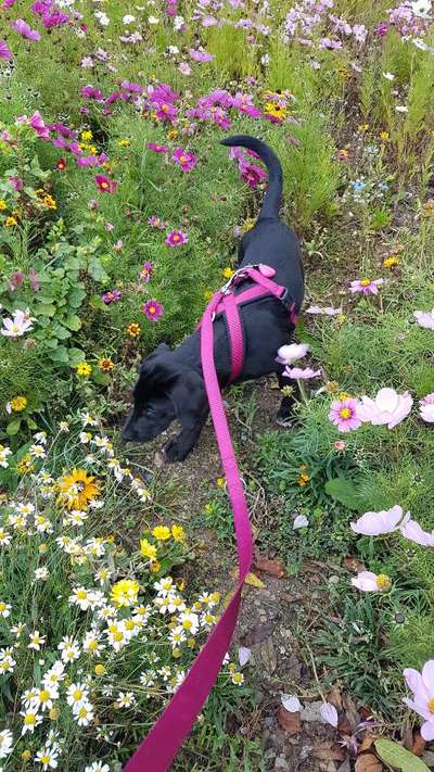 Fotowettbewerb-Beitrag-Bild