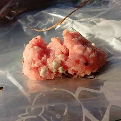 Giftköder-Giftköder-Bild