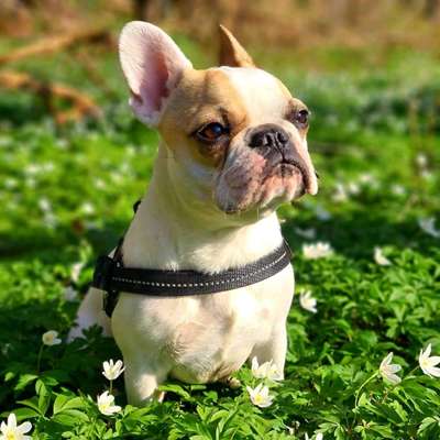 Lieblingsbild :D-Beitrag-Bild