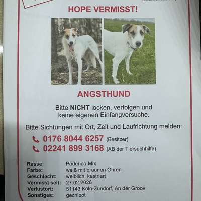 Suchmeldung-Hope-Bild