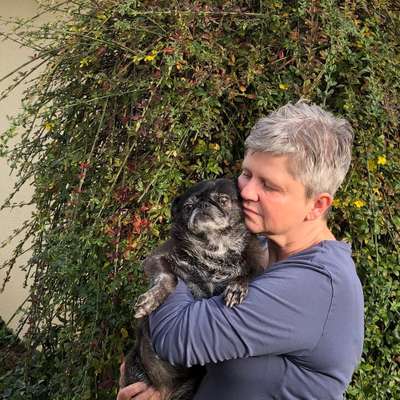 Hundetreffen-Hi! Hundetreffen mit „ verträglichen“ Hunden.-Profilbild