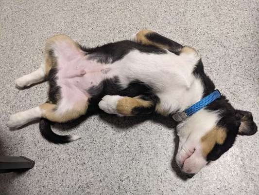 Fotochallenge Nr.65-Beitrag-Bild