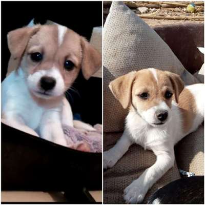 Sie werden so schnell erwachsen ...-Beitrag-Bild