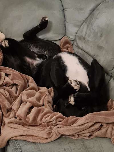 Schlafzeit!💖-Beitrag-Bild