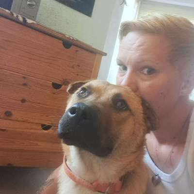 Hundetreffen-Hunde Freunde-Bild