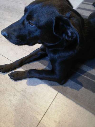 Das erste Foto-Beitrag-Bild