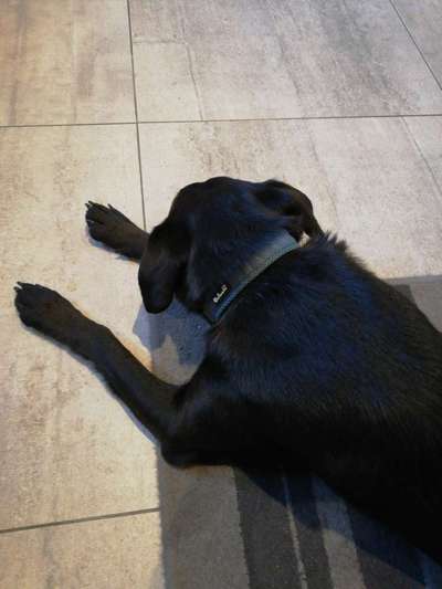 Das erste Foto-Beitrag-Bild