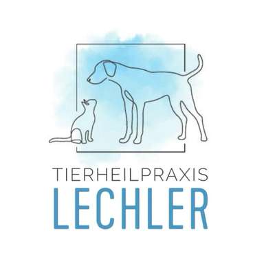 Medizinische Dienstleistungen-Tierheilpraxis Lechler-Bild