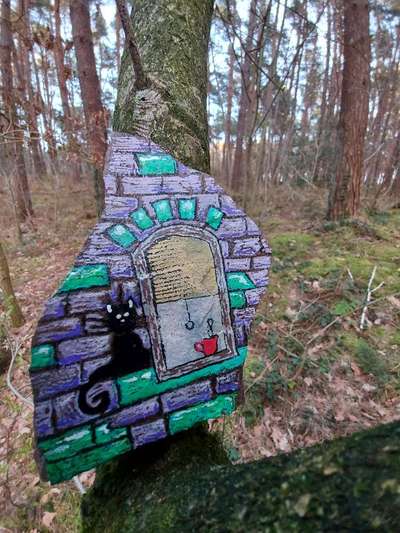 Die wunderschöne Welt mit Hund.-Beitrag-Bild