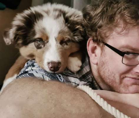 Aussies-Beitrag-Bild