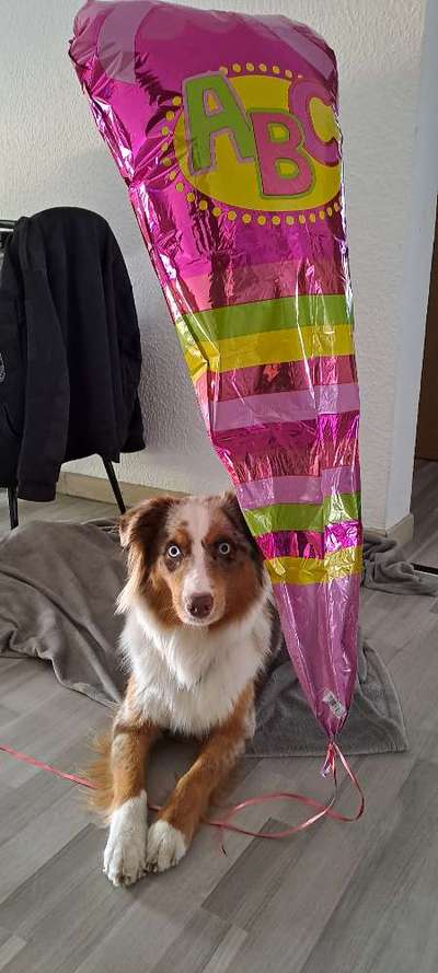 18. Handy - Foto - Challenge-Beitrag-Bild