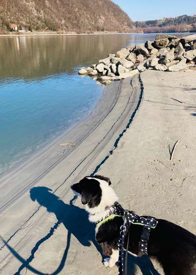 Dogorama Photo Challenge - Der Frühling kommt-Beitrag-Bild