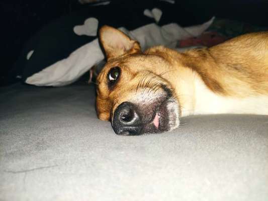 Foto-Challange No.1 - Alles aber nicht die Kamera-Beitrag-Bild