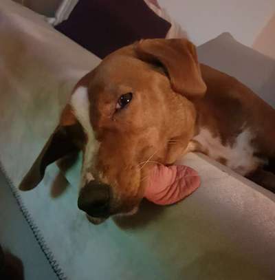 Fotochallange Nr. 57     PORTRÄT.   Beendet!!!!!!!!-Beitrag-Bild