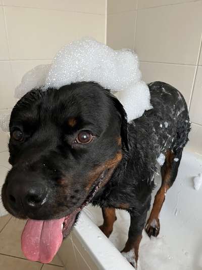 35. Handy Foto Challenge - Das nasse Element-Beitrag-Bild