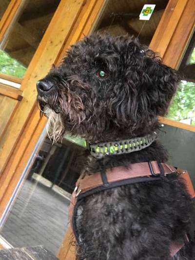 Blick fürs Detail!-Beitrag-Bild