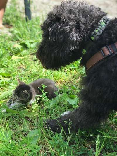 Challenge 30  Freundschaft-Beitrag-Bild