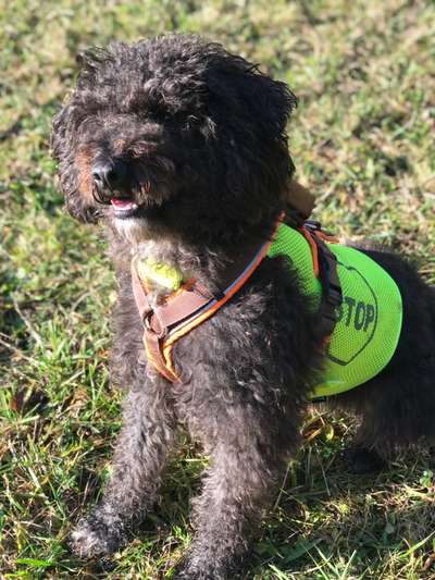 Fotochallenge No. 26                                     Wald und Wiese-Beitrag-Bild