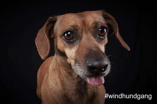 Tongue Out Tuesday-Beitrag-Bild