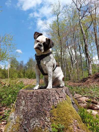 Fotowettbewerb Natur-Beitrag-Bild