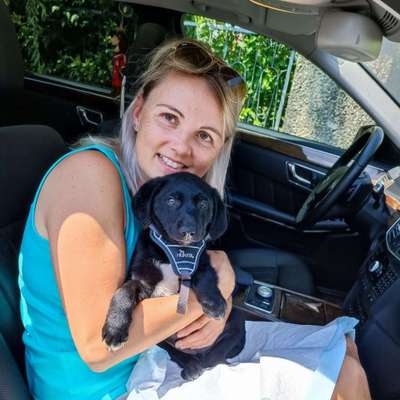 Hundetreffen-Hunde-Kennenlernen (1210)-Profilbild