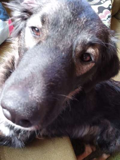 Lieblingsbild-Beitrag-Bild