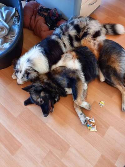 Lieblingsbild-Beitrag-Bild