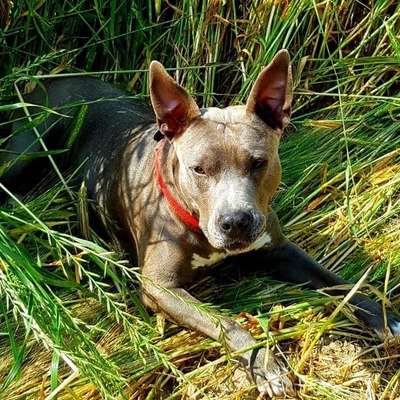 Lieblings Fotos-Beitrag-Bild