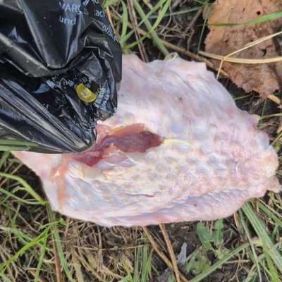 Giftköder-Giftköder-Bild