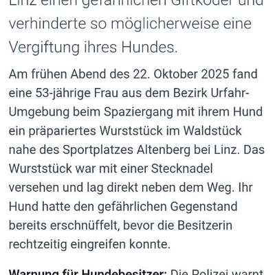 Giftköder-Wurst mit Stecknadel-Bild