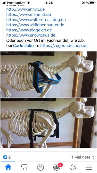 Julius K9 Geschirr-Beitrag-Bild