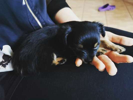 Sie werden so schnell erwachsen ...-Beitrag-Bild