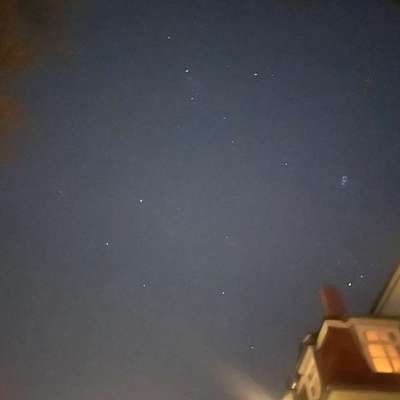 Hundetreffen-SocialWalk-Bild