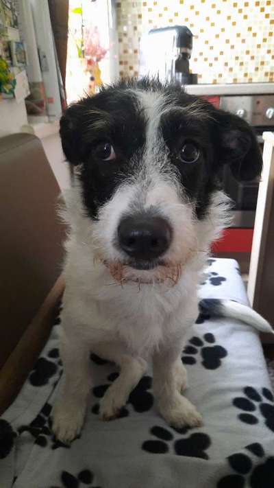 Zeigt mir die tollste Nahaufnahme von eurer Fellnase-Beitrag-Bild