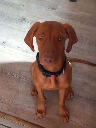 Handy-Foto Challange Nr. 10-Beitrag-Bild