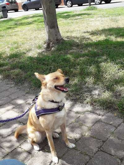 Immer lächeln !-Beitrag-Bild