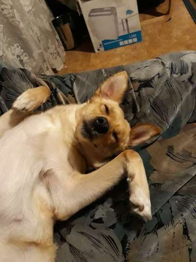 Die unbequemsten und lustigsten Schlafpositionen-Beitrag-Bild