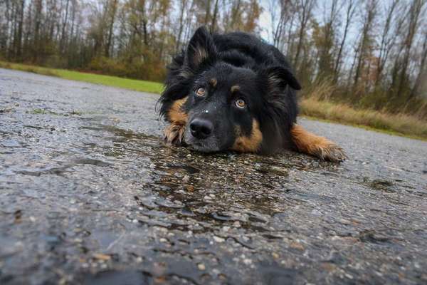 Lieblingsbild :D-Beitrag-Bild