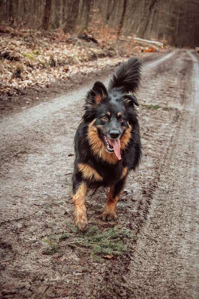 Fotochallenge No. 26                                     Wald und Wiese-Beitrag-Bild