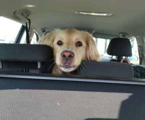 Handy-Foto Challange Nr. 10-Beitrag-Bild