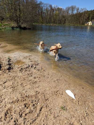 Schwimmen-Beitrag-Bild